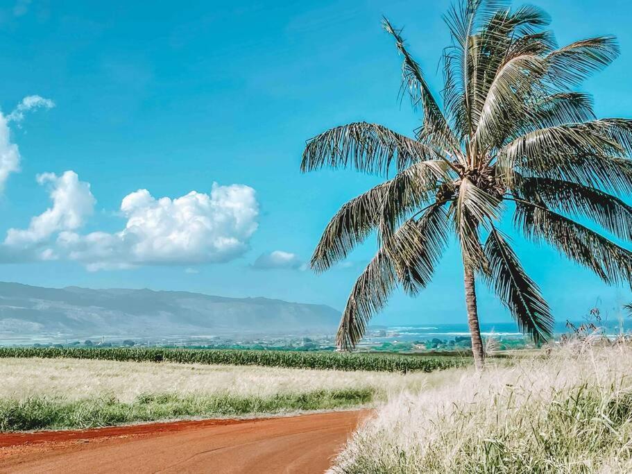 Hotel Cute Off Grid Glampsite With Wifi- 5 Min From Haleiwa Town Extérieur photo